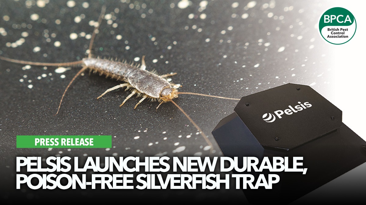 pelsis-launches-new-silverfish-trap-hero pelsis-launches-new-silverfish-trap-hero